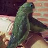 elizabethclavijo8