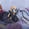 camsleopoldin