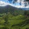 dakalong.alin