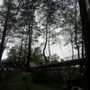 triteza__