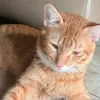 mollyjunior97