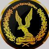 youssef_on_fire1_egypt