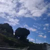 dyn_ee3