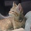 jennyzac12
