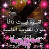 dy7t69kjlqjz