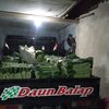 daunbalap0