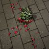 reem_abdasalam