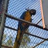 naturalworld529