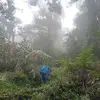 damsvisualsproduc