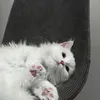 aleema.sannie_05