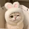 suga0903193
