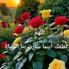 aichamiftah167