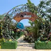 woawoa16