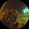 sysrootdev