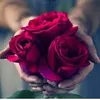 malik.hasan46
