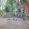 agusdarmanto7740
