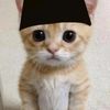 chiro_tokito7
