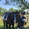 myersdressage976
