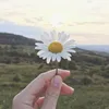 lalipat.jg