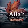 memmedzade777999