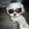 user40o02