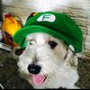 carl_2822