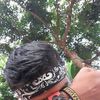 masdik_jeki
