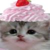 meowmatchasparkle