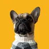arnoldthefrenchie22