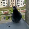 vanya.vanya1