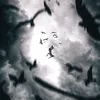 _.f.1.6