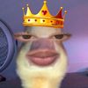 danira647