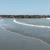 andreapolanco8469