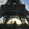 palo_tl
