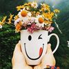 aylincinar633