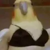 xs_0d