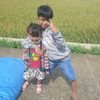 hanafidaning