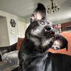 mouthfullofmal