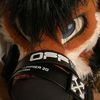 tekfox2002