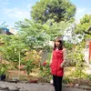 tohan110