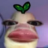 linhlee270