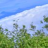 langit_biru.05