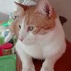 mariper_64