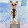 rockymenviolator