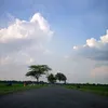 chinese_whitout_shop