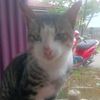 ahmadasyir96