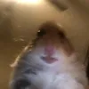 thvycutinhattg.00