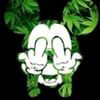 wilmergerardocame