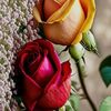 user7488196574222
