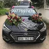 hng5599